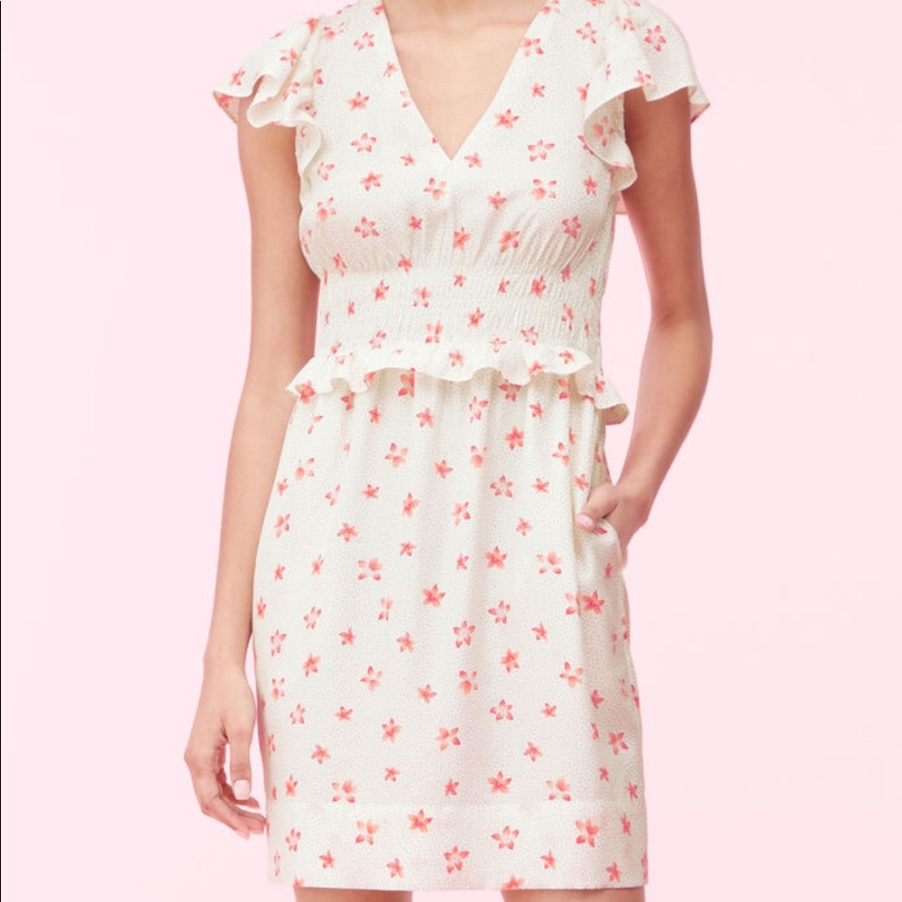 Rebecca taylor dress nwt